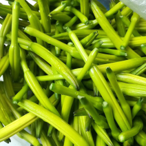 黄花菜