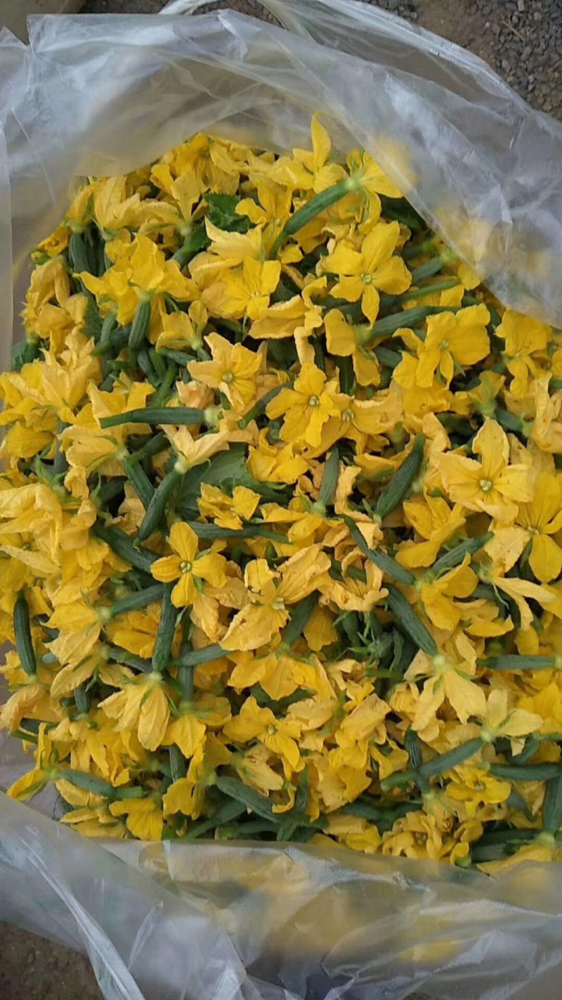 黄瓜花