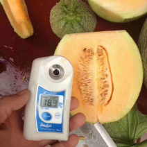 哈密瓜小蜜25娇密25西州蜜瓜