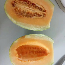 哈密瓜小蜜25娇密25西州蜜瓜