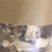 云南罗平小黄姜片特级批发