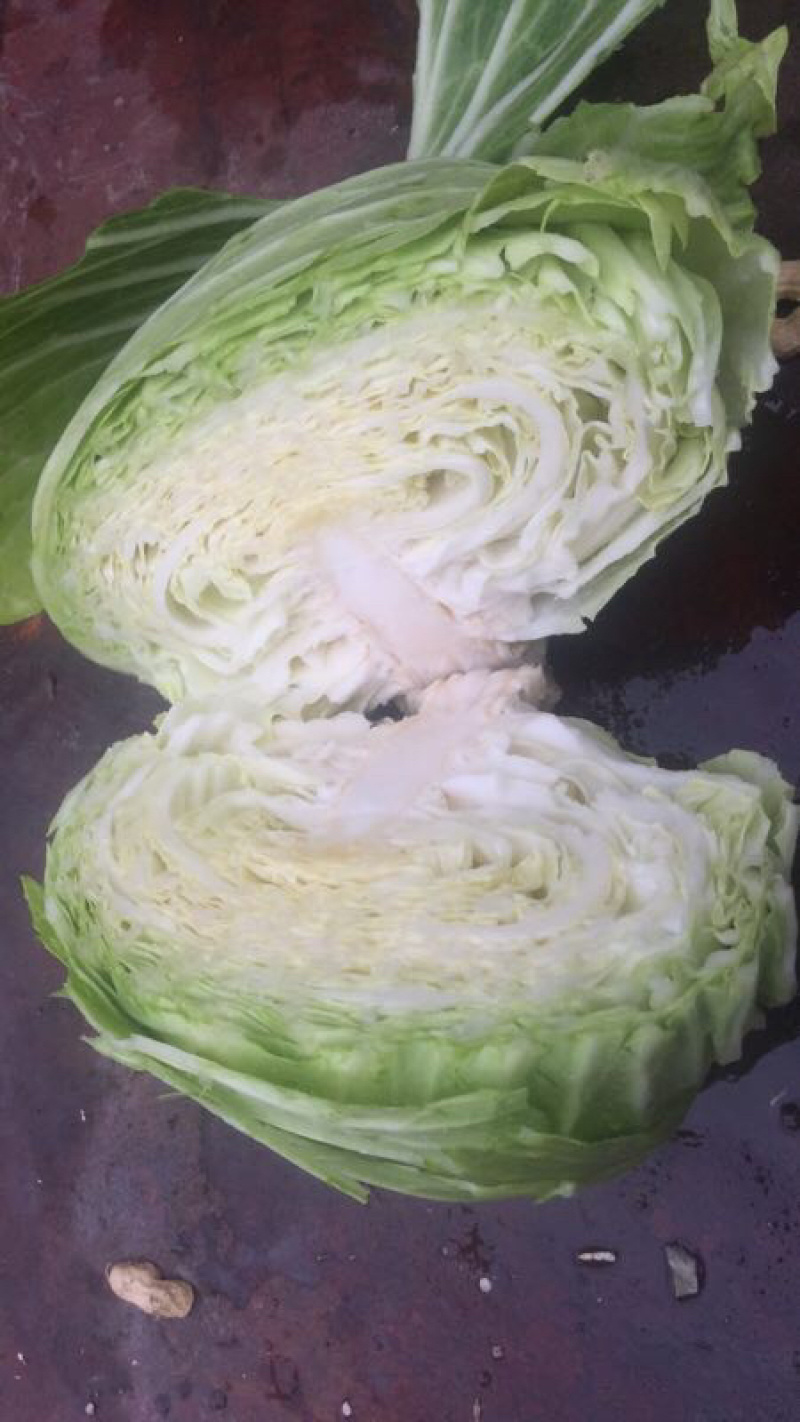 湖北包菜大量上市，货源充足，质量稳定，价格美丽