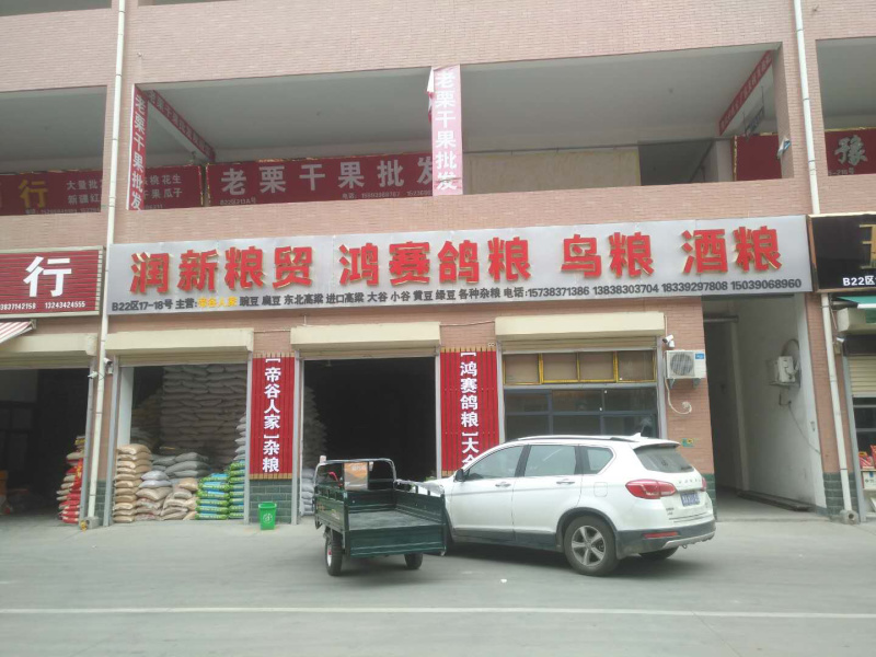 红花籽，籽粒饱满，炸油出油率高鸽用炸油用