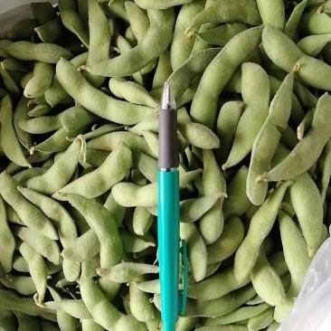 速冻毛豆