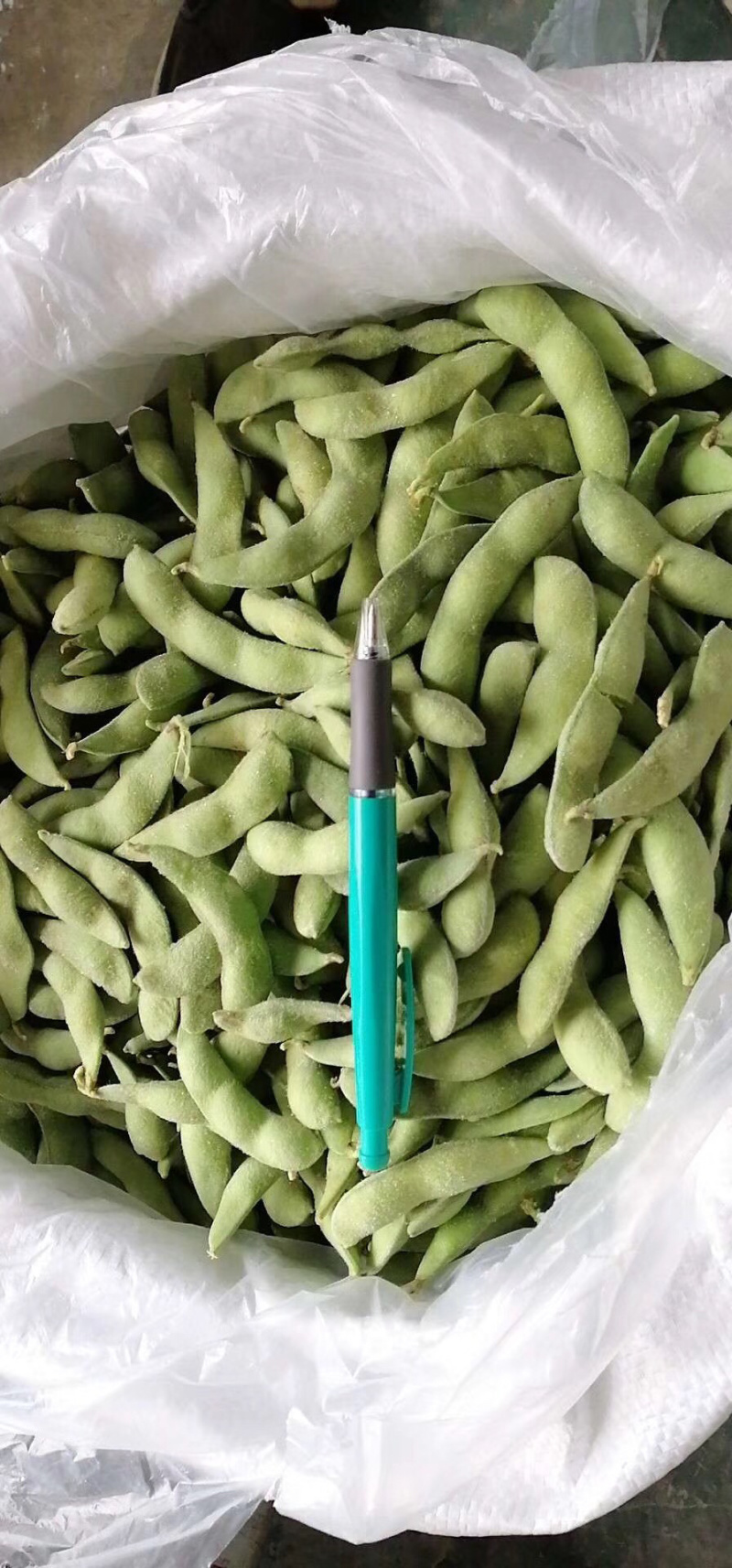 速冻毛豆