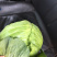 优质包菜800每亩产地直销，量大质优保质保量