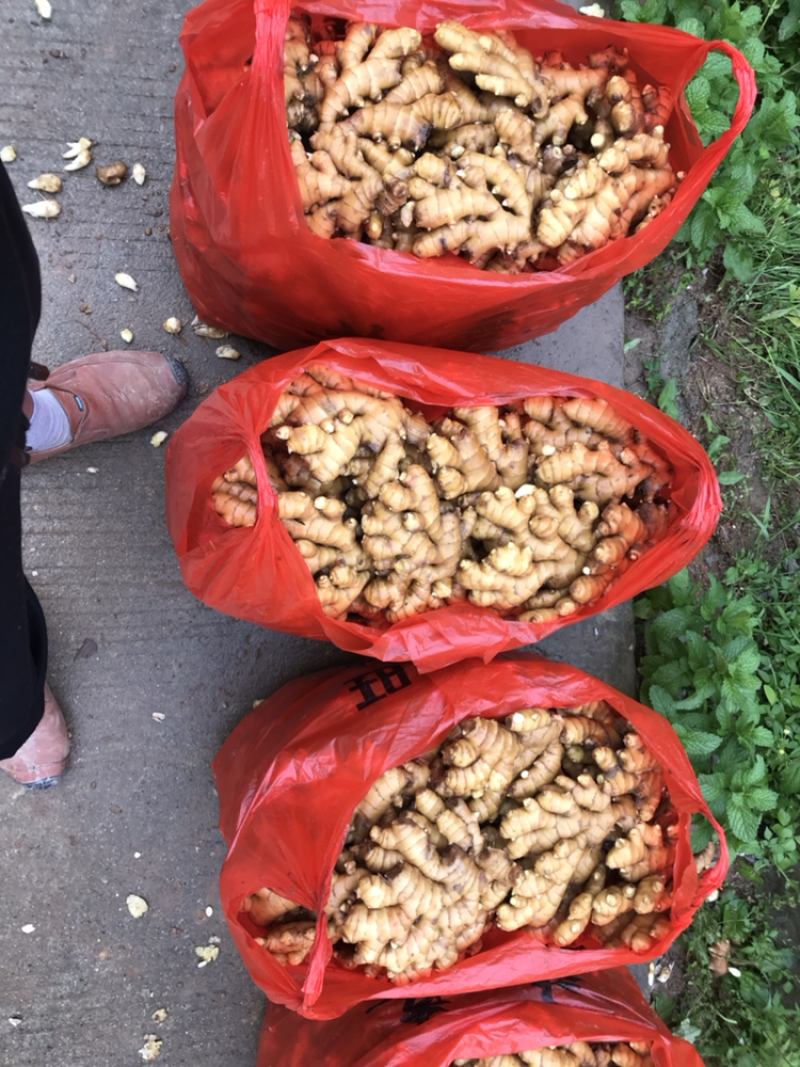 特级水洗姜
