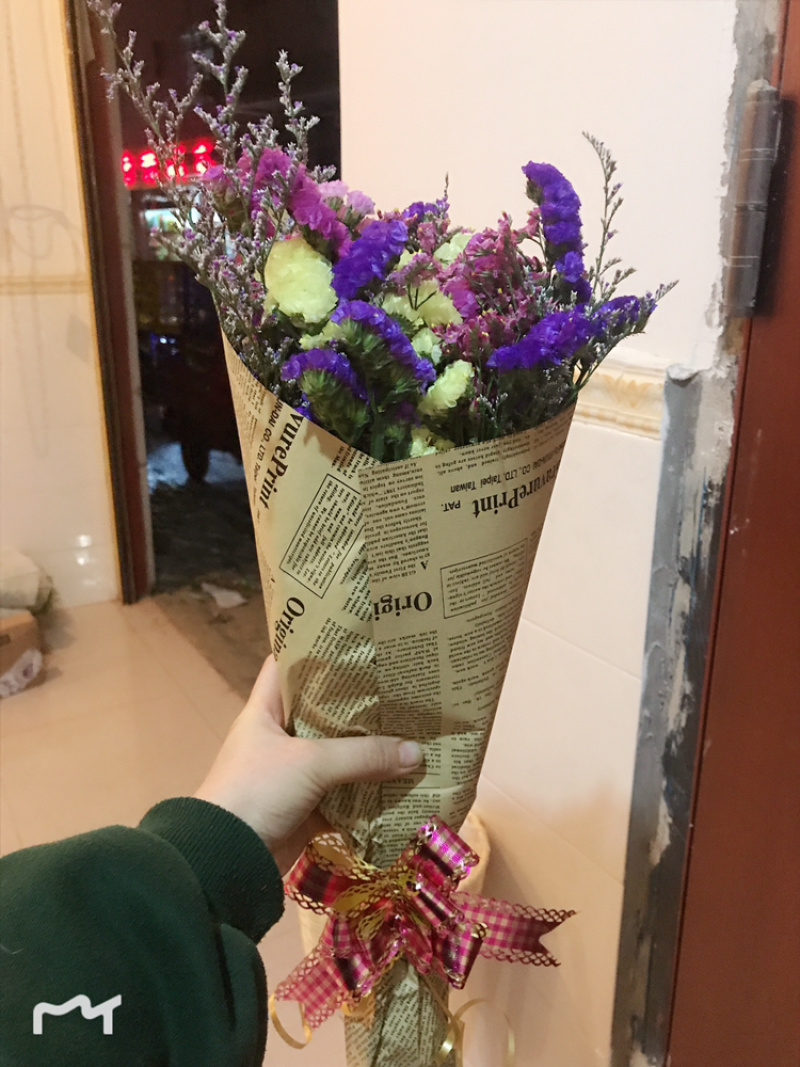 勿忘我，云南昆明斗南基地直销，量大从优，保质保量。