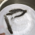 生鱼苗