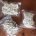 一站式购齐茯苓全面规格货量充足价格实惠