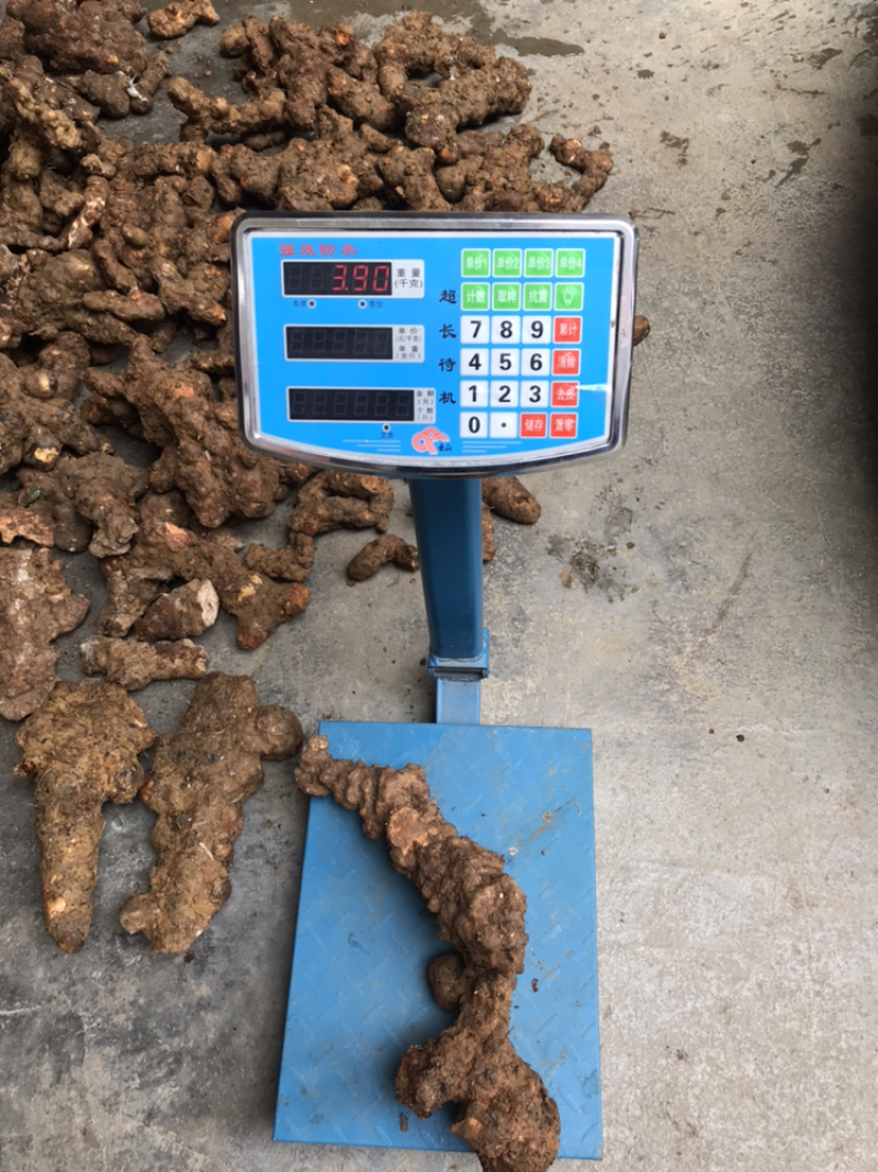广西野生土茯苓石头山货找合作