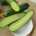 水果小黄瓜🥒提供微商团购平台一件代发