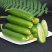 水果小黄瓜🥒提供微商团购平台一件代发