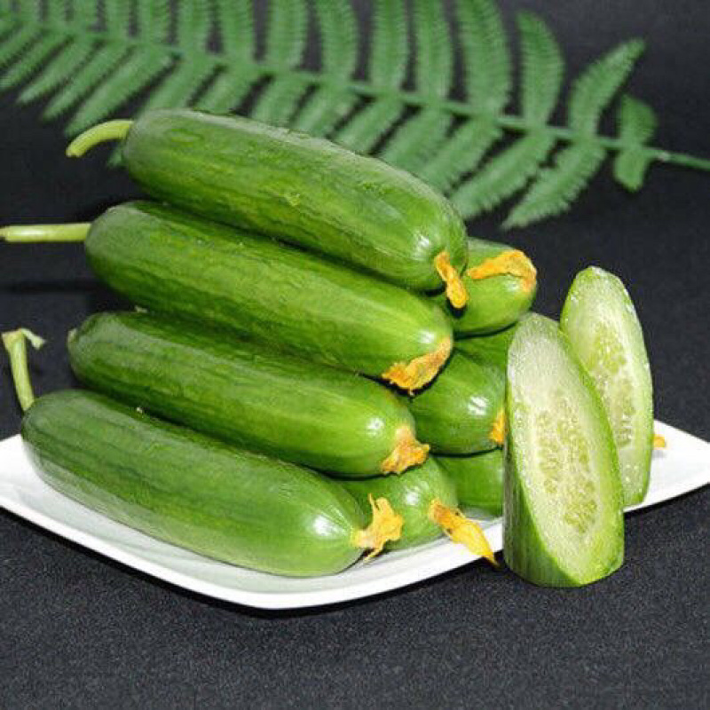 水果小黄瓜🥒提供微商团购平台一件代发