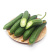 水果小黄瓜🥒提供微商团购平台一件代发
