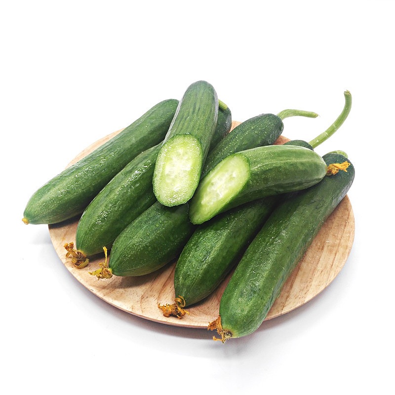 水果小黄瓜🥒提供微商团购平台一件代发