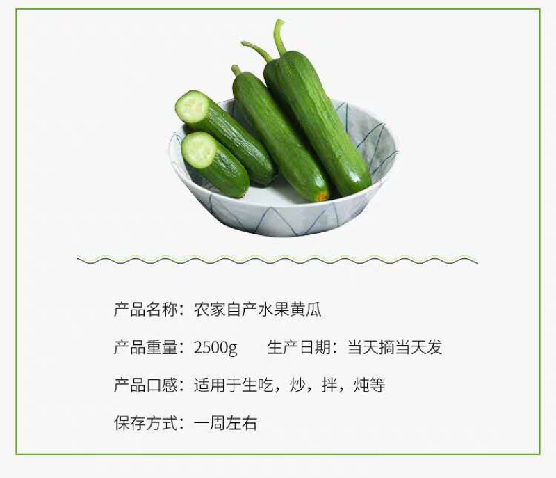 水果小黄瓜产地直销批发零售一件代发包邮团购电商平台代发