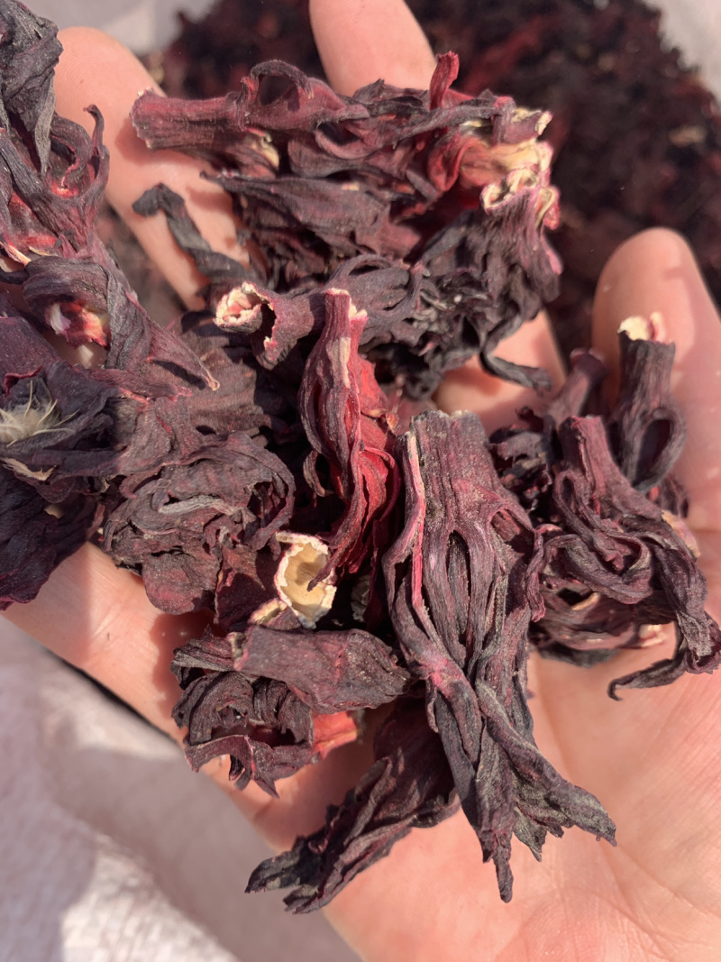 进口玫瑰茄大货，各种规格玫瑰茄，洛神花批发，红桃K