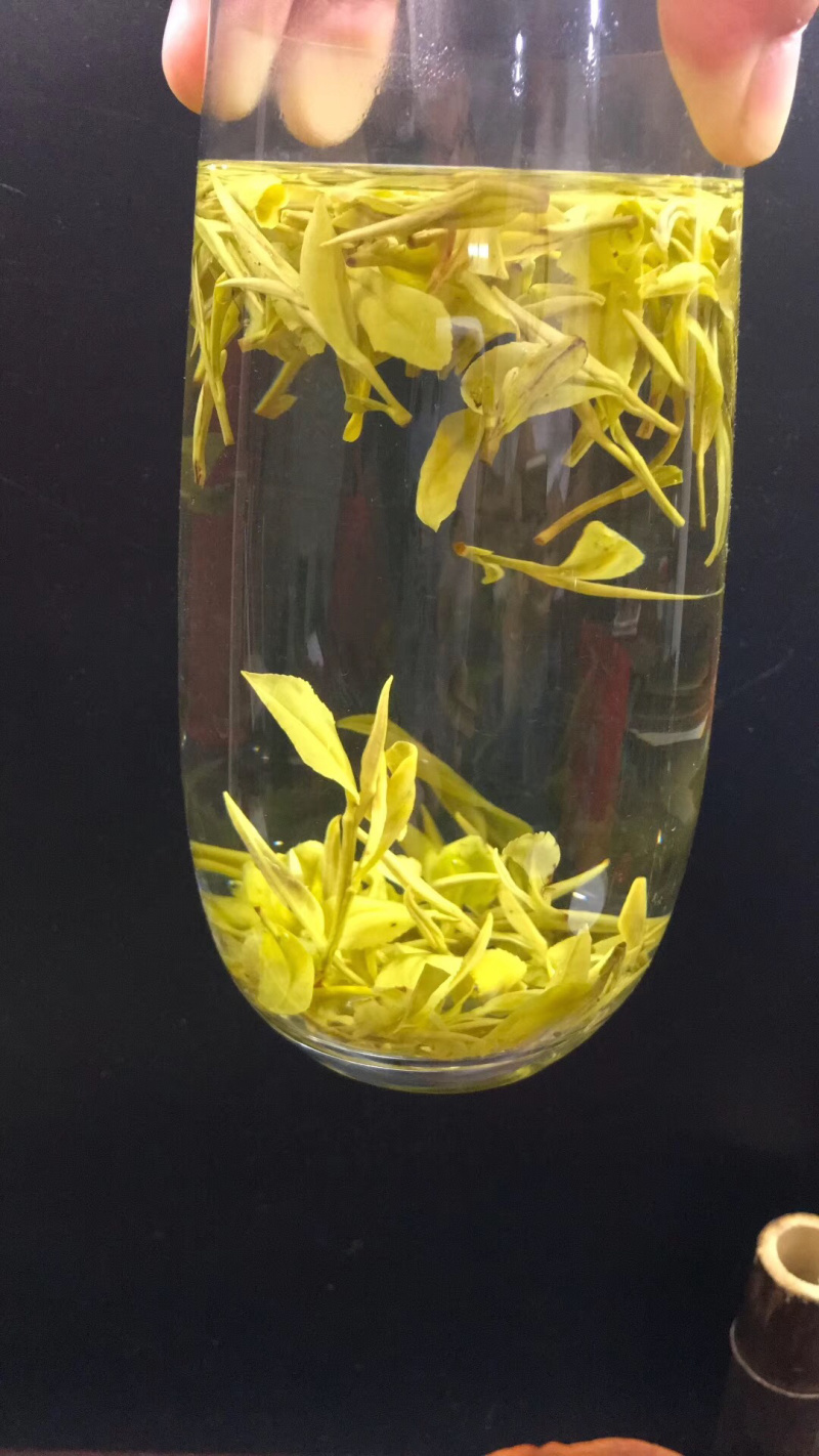 今年新茶雨前黄金芽绿茶安吉白茶500g包邮