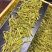 今年新茶雨前黄金芽绿茶安吉白茶500g包邮