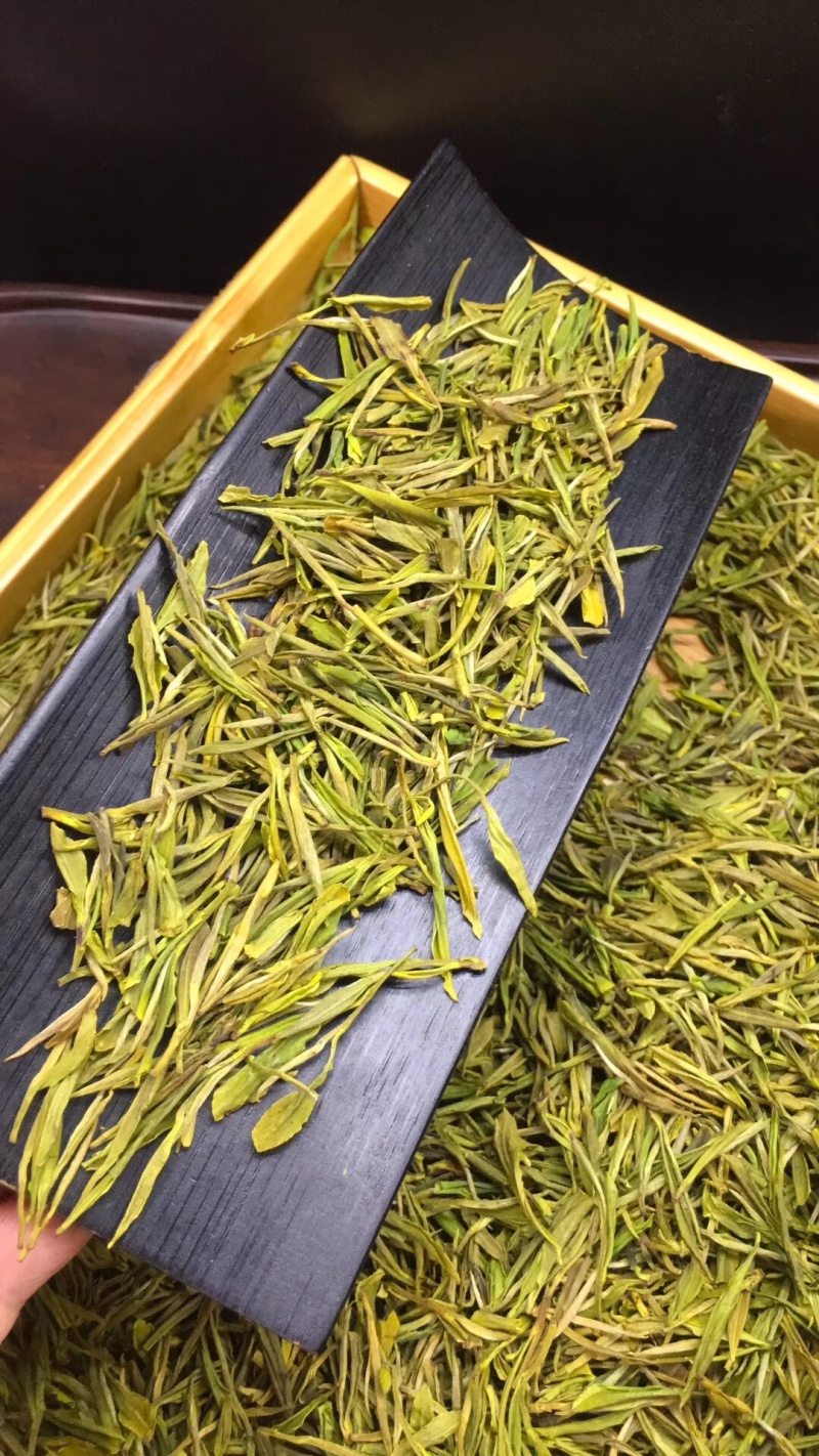 今年新茶雨前黄金芽绿茶安吉白茶500g包邮