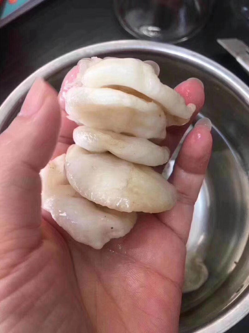 120头赤鱼胶