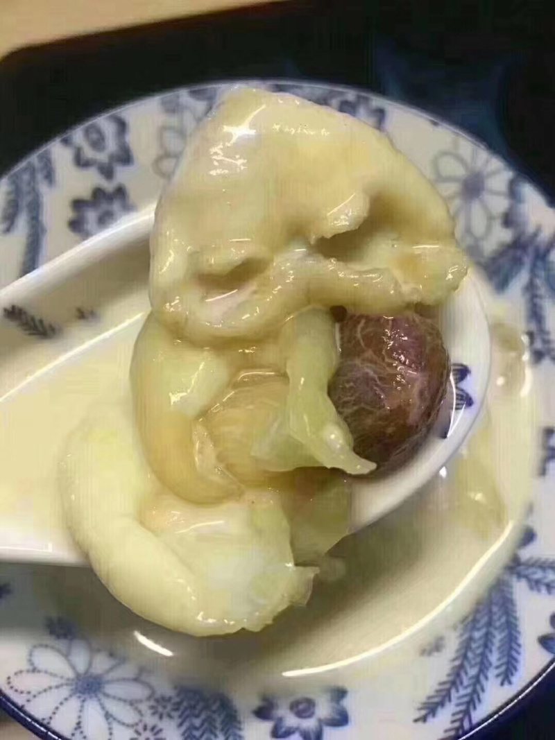 120头赤鱼胶