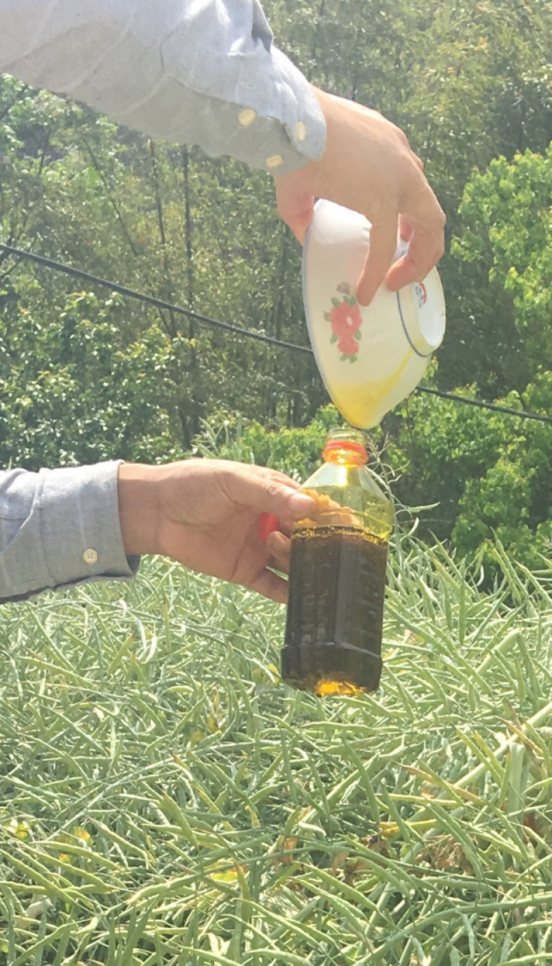 五里滩纤夫菜籽油