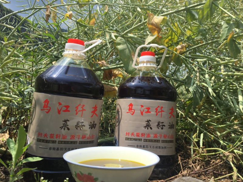 五里滩纤夫菜籽油