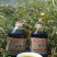 五里滩纤夫菜籽油