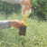 五里滩纤夫菜籽油