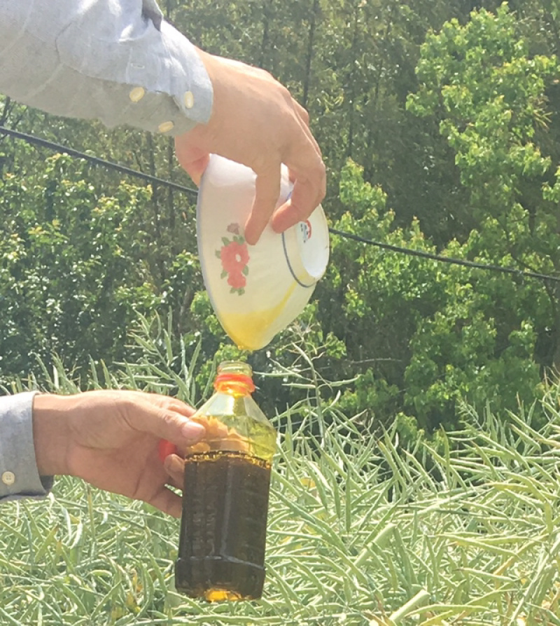 五里滩纤夫菜籽油