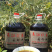 五里滩纤夫菜籽油