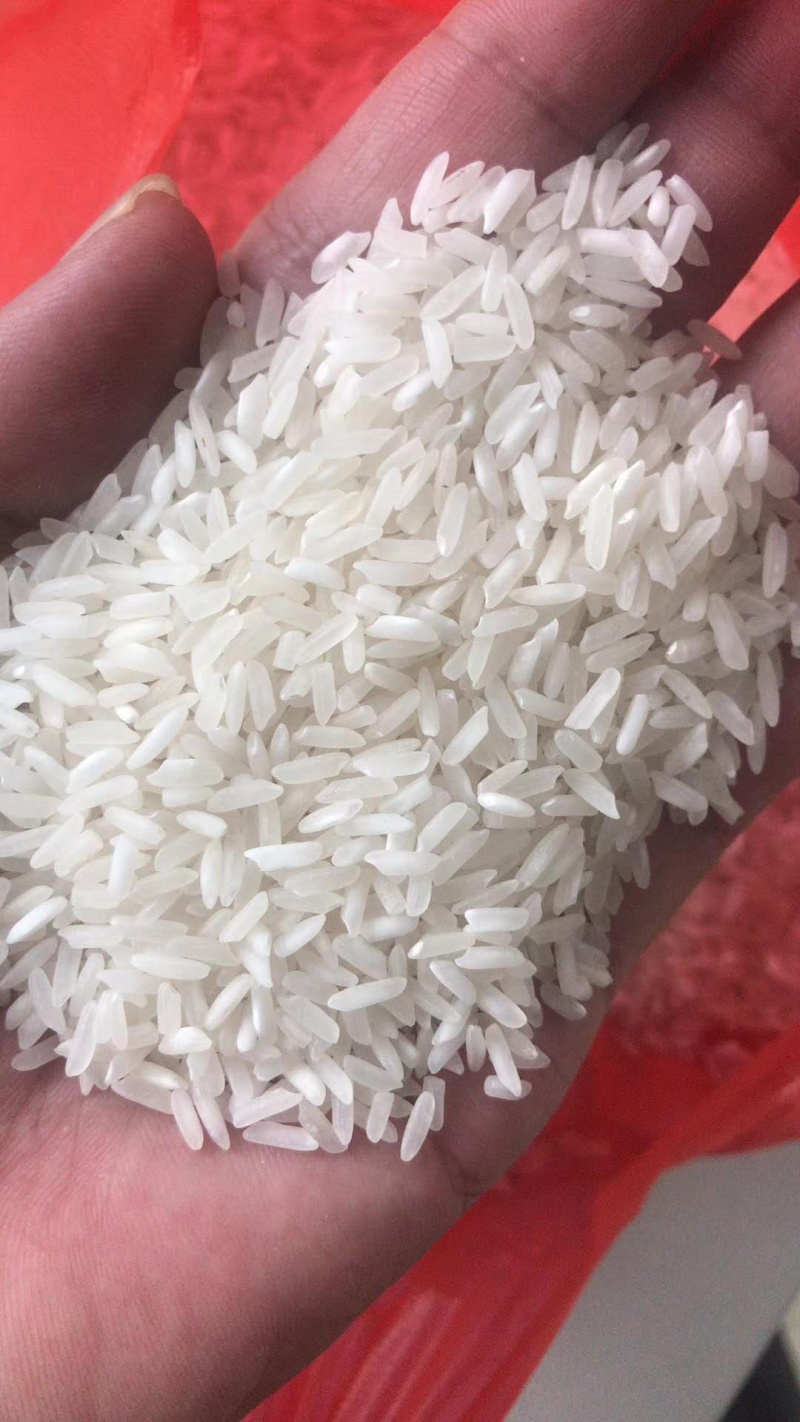巴基斯坦白米