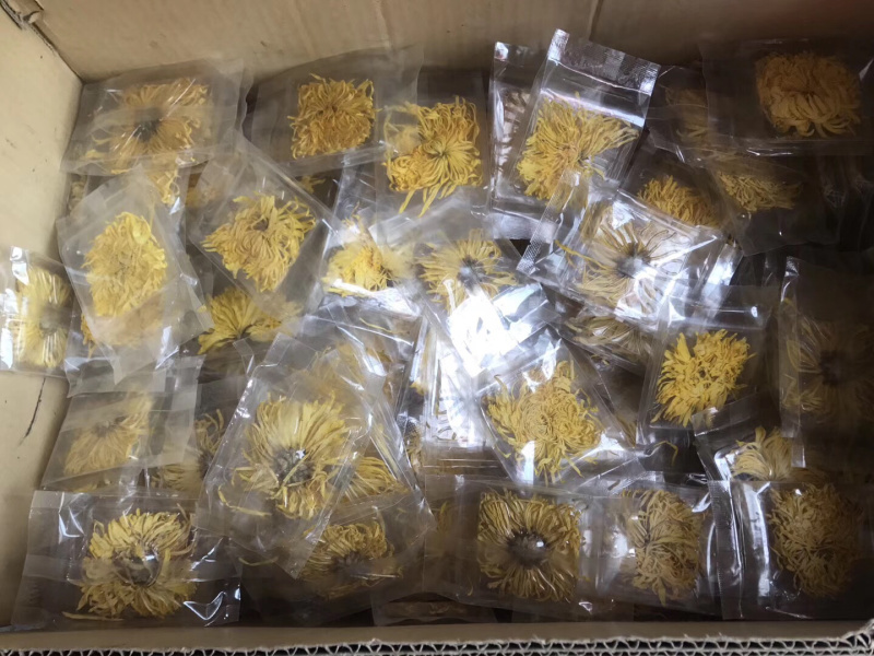 金丝黄菊/菊花/菊皇/一大包/50元/包邮/