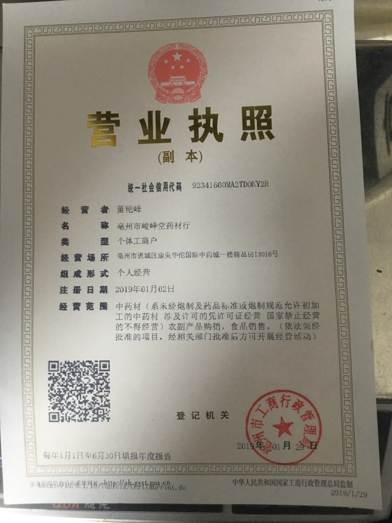 金丝黄菊/菊花/菊皇/一大包/50元/包邮/