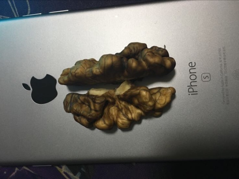 新疆核桃
