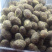 甘草橄榄口感好脆厂家直销量大价优