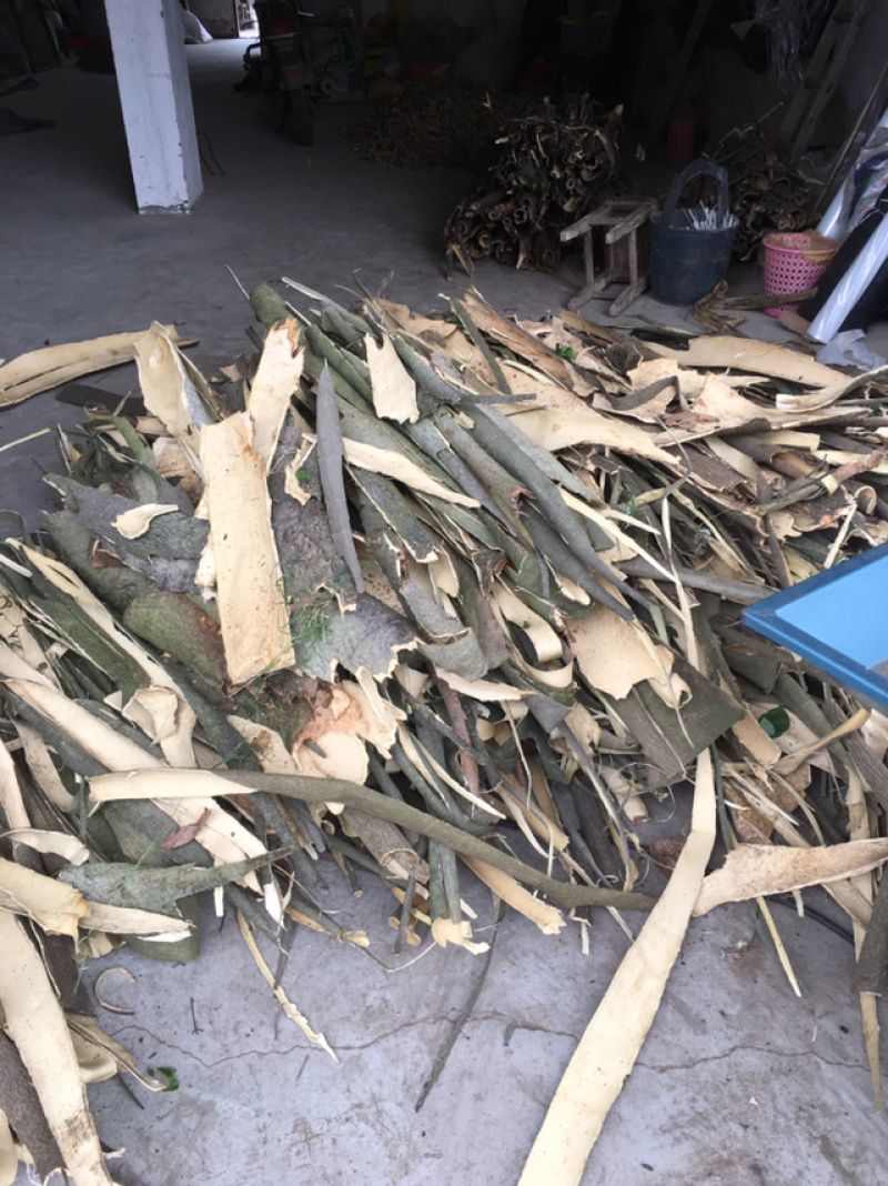 合欢皮片子