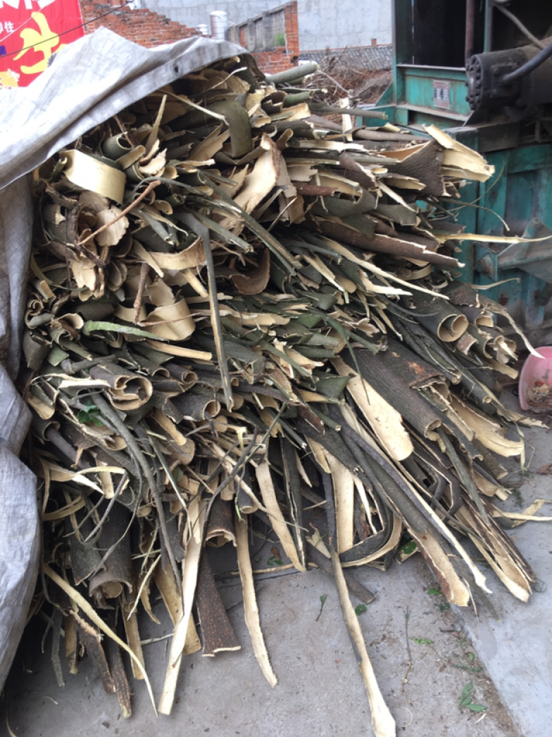 合欢皮片子