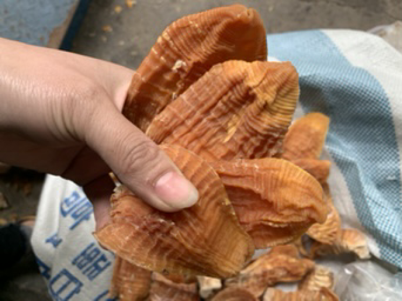 玉兰片批发笋干精品烘干笋干特级笋干烤房笋干，黄山笋干
