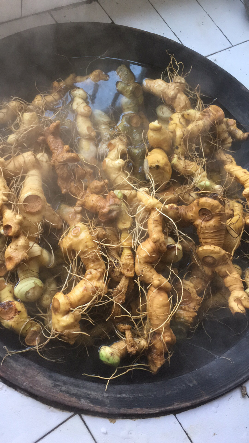 黄精大别山多花姜型甜黄精