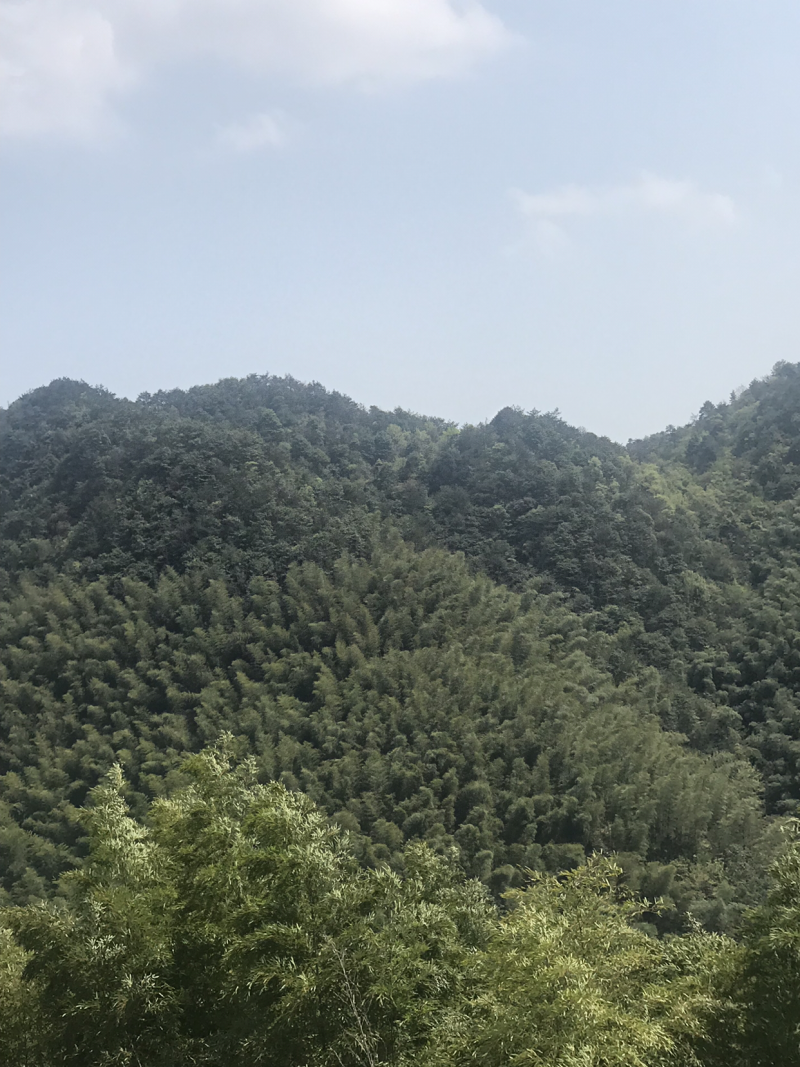 水煮笋干农家日晒