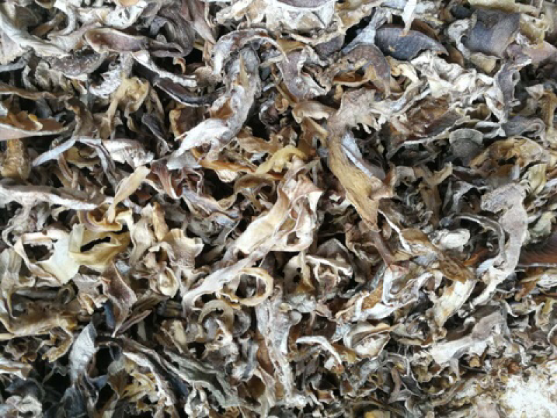 水煮笋干农家日晒毛竹笋干