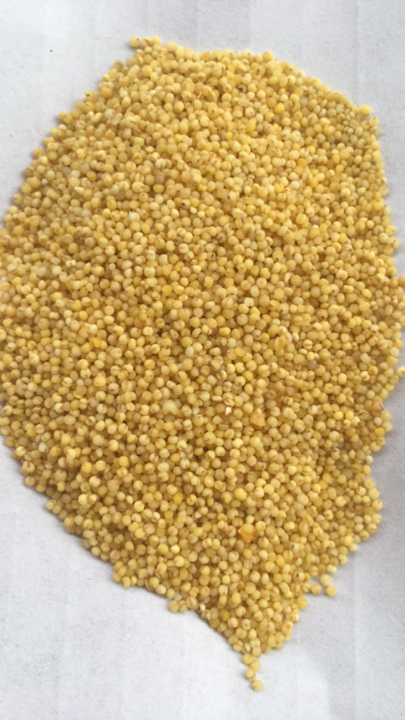 油小米