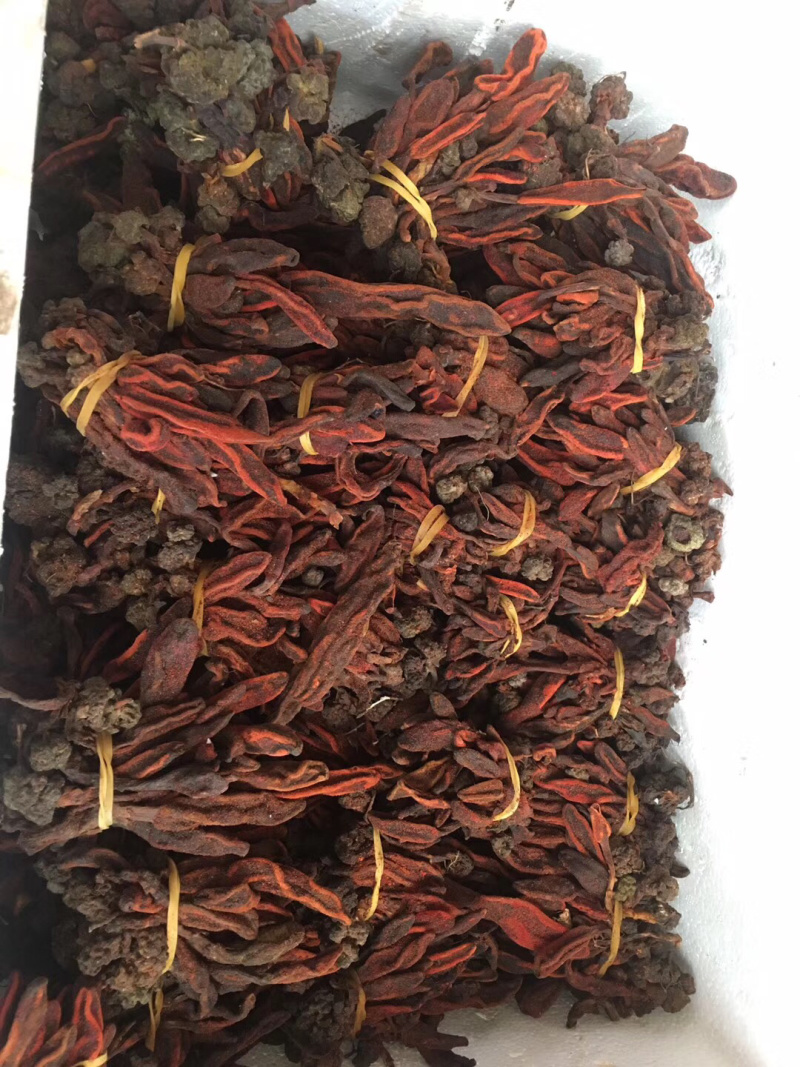 回春草野生云南顶天柱男性滋补泡酒煲汤泡茶