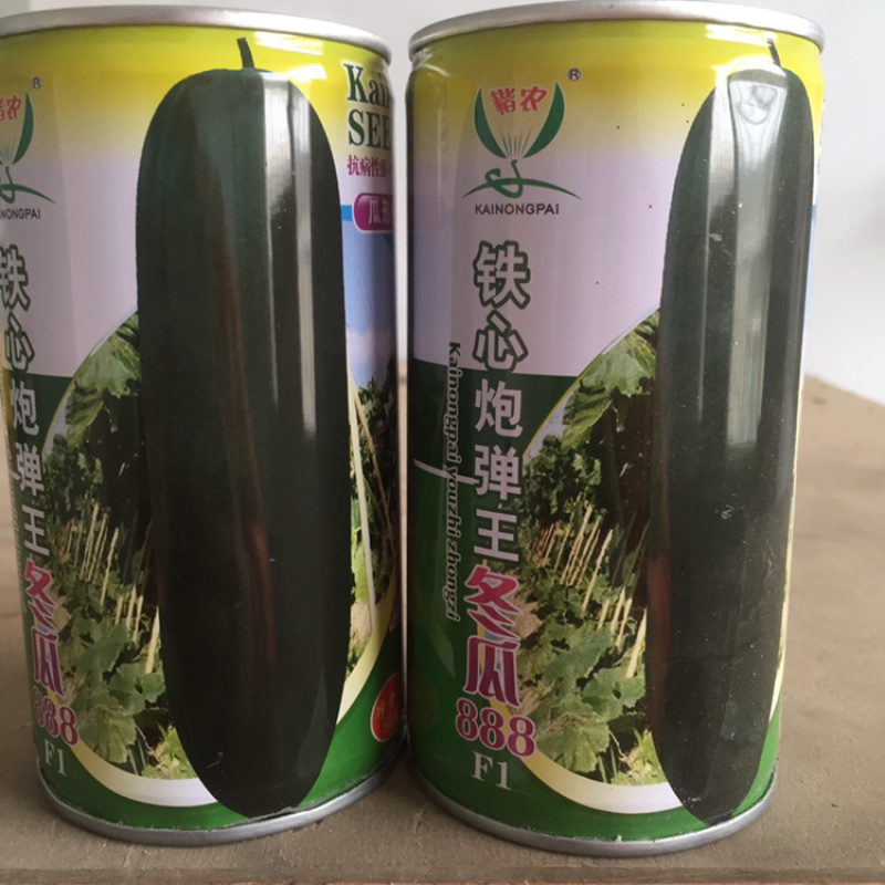冬瓜种子，台湾黑炮弹