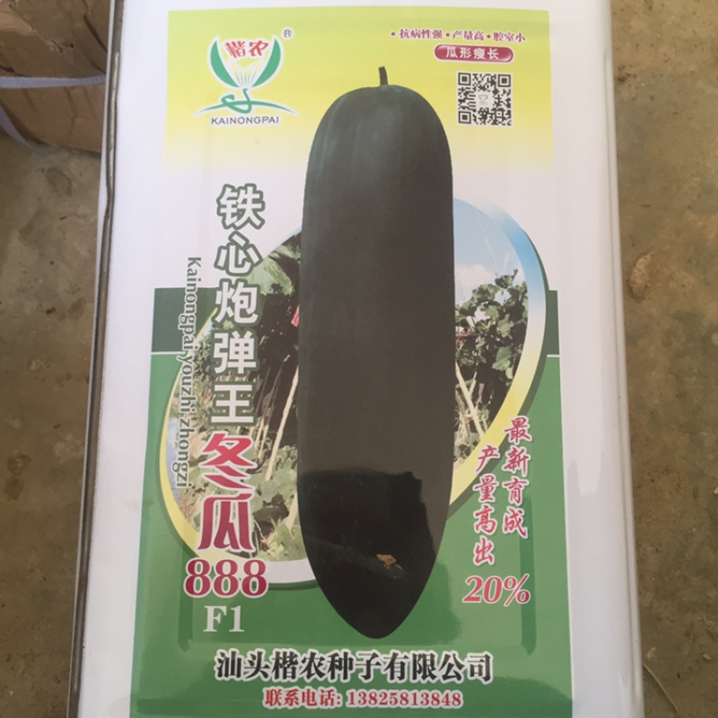 冬瓜种子，台湾黑炮弹
