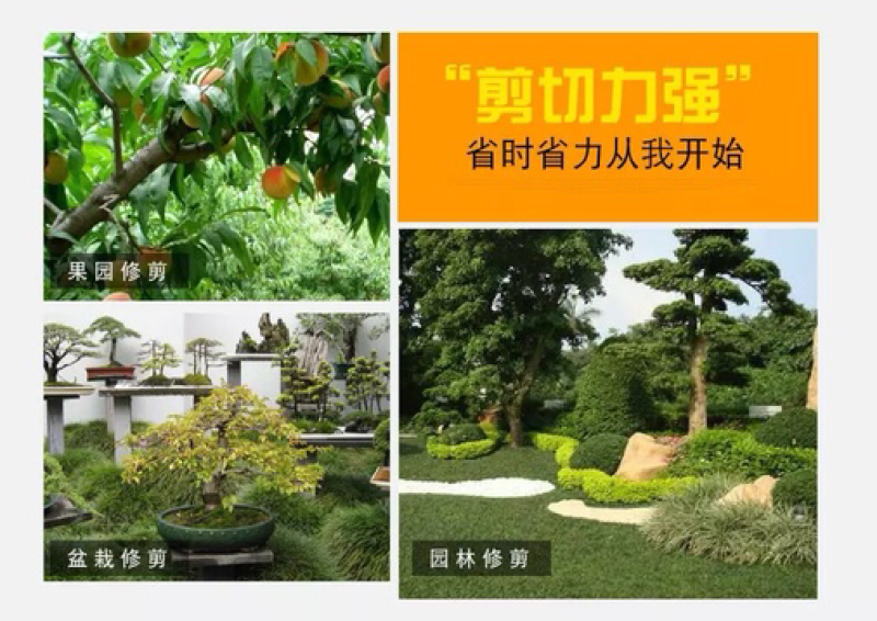 供应可伸缩粗枝剪果树修枝剪刀高枝树枝剪伸缩大力剪园艺剪