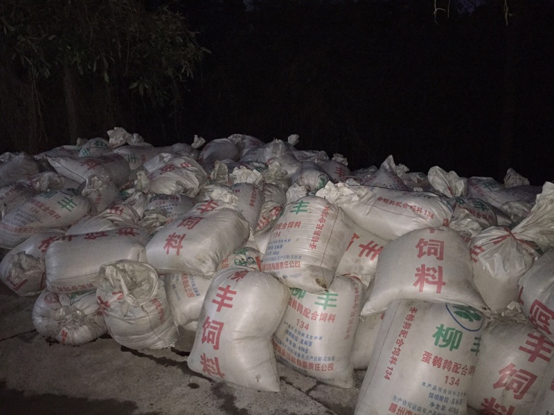 纯鹌鹑粪